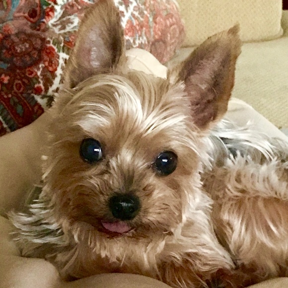 Meet the Posher Other - Meet your Posher, Zoey